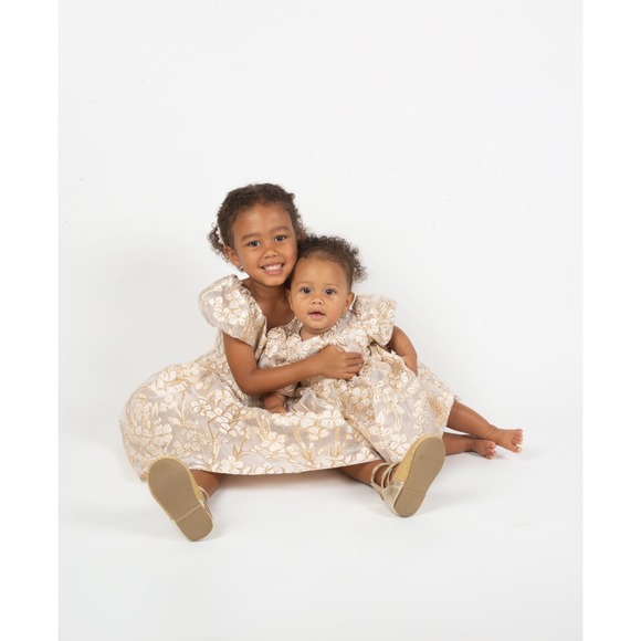 Rare Editions Other - Rare Editions Baby Girls Gold Burnout Organza Social Dress 6-9M